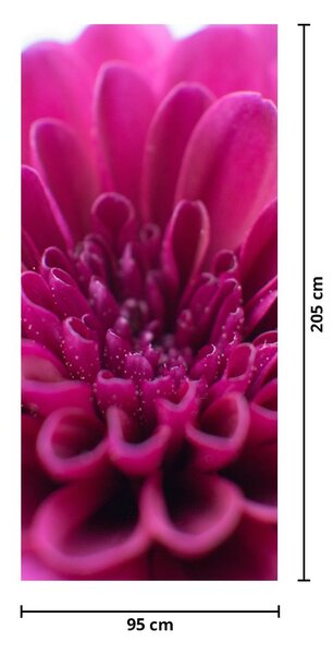 Fototapeta na dvere - Kvetina (95x205cm)