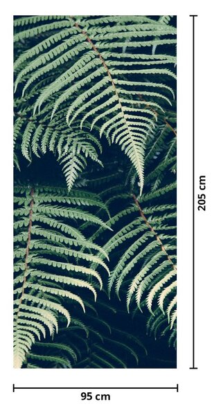Fototapeta na dvere - Listy papradí (95x205cm)