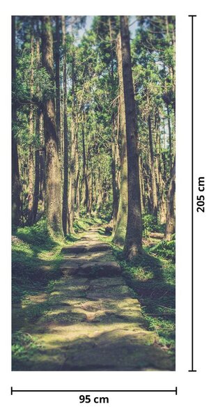 Fototapeta na dvere - Cesta medzi stromami (95x205cm)