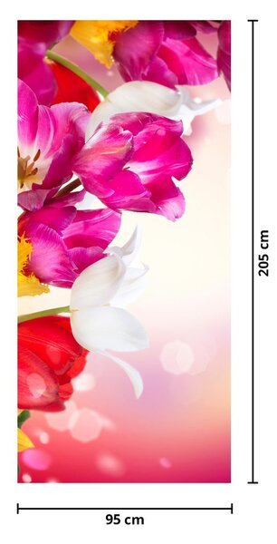 Fototapeta na dvere - Tulipány (95x205cm)