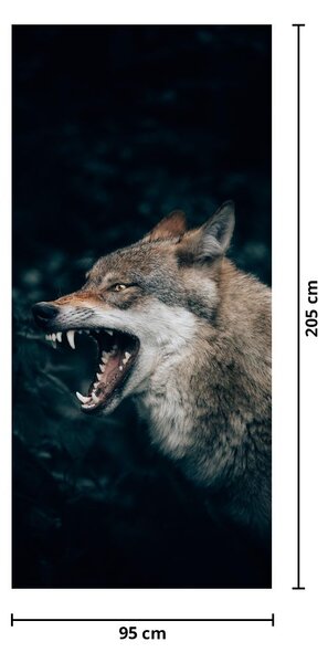 Fototapeta na dvere - Vlk (95x205cm)