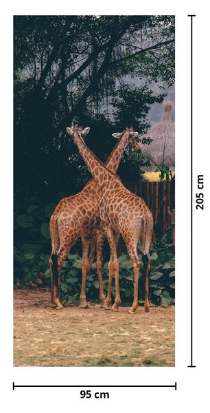 Fototapeta na dvere - Dve Žirafy (95x205cm)