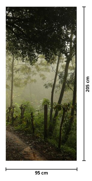 Fototapeta na dvere - Ranná hmla (95x205cm)