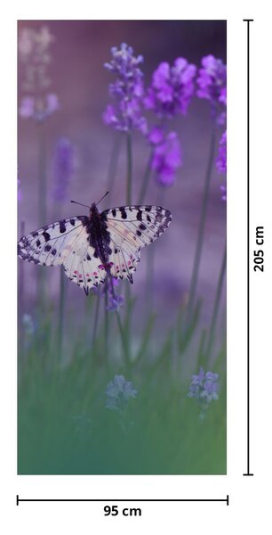Fototapeta na dvere - Motýľ v levanduľách (95x205cm)