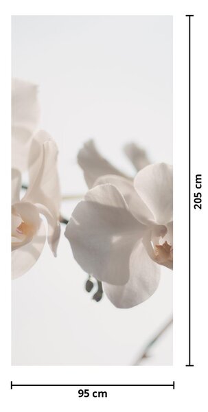 Fototapeta na dvere - Biele orchidey (95x205cm)