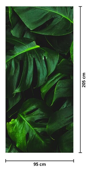 Fototapeta na dvere - Listy Monstery (95x205cm)