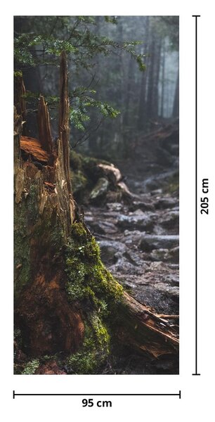 Fototapeta na dvere - V lese (95x205cm)