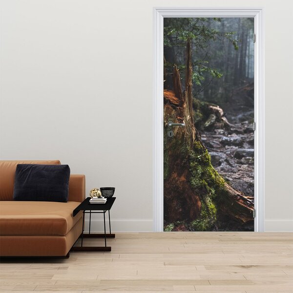 Fototapeta na dvere - V lese (95x205cm)