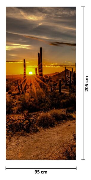 Fototapeta na dvere - Koniec dňa v arizonskej púšti (95x205cm)