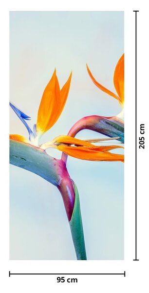 Fototapeta na dvere - Kvety Strelície (95x205cm)