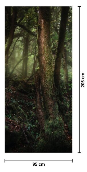 Fototapeta na dvere - Tajomný les (95x205cm)