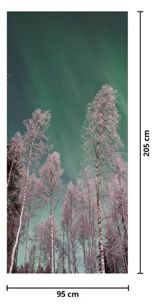 Fototapeta na dvere - Polárna žiara nad zmrznutými stromami (95x205cm)