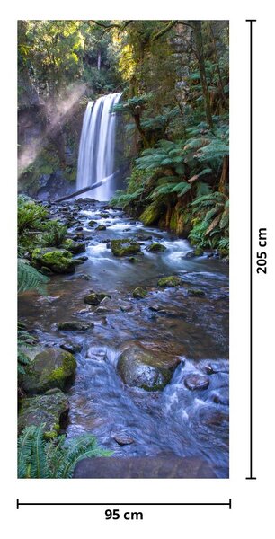 Fototapeta na dvere - Austrálsky dažďový les (95x205cm)