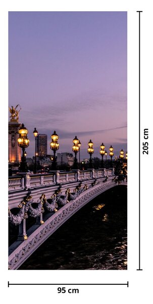 Fototapeta na dvere - Most Alexandra III. v Paríži (95x205cm)