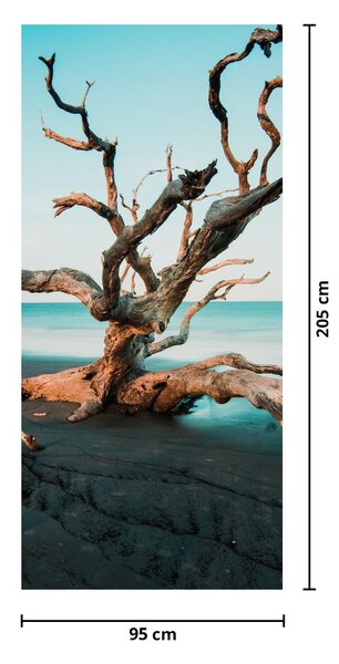 Fototapeta na dvere - Vyplavené na pláži (95x205cm)