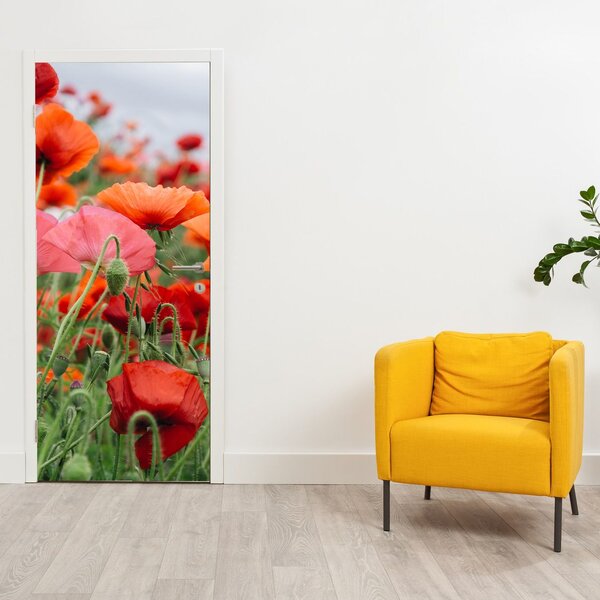 Fototapeta na dvere - Pole vlčích makov (95x205cm)