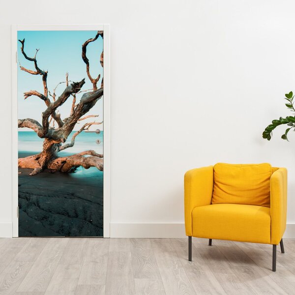 Fototapeta na dvere - Vyplavené na pláži (95x205cm)