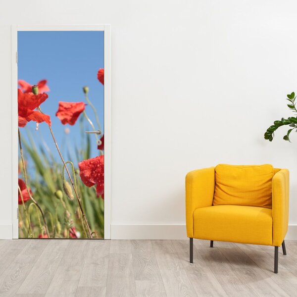 Fototapeta na dvere - Vlčie maky (95x205cm)