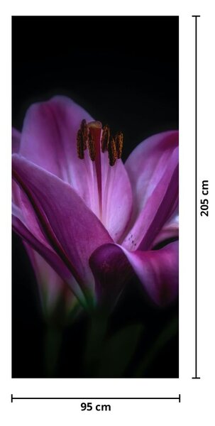 Fototapeta na dvere - Ľalia (95x205cm)