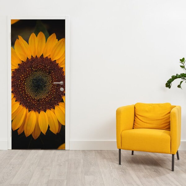 Fototapeta na dvere - Slnečnice a lístky kvetov (95x205cm)
