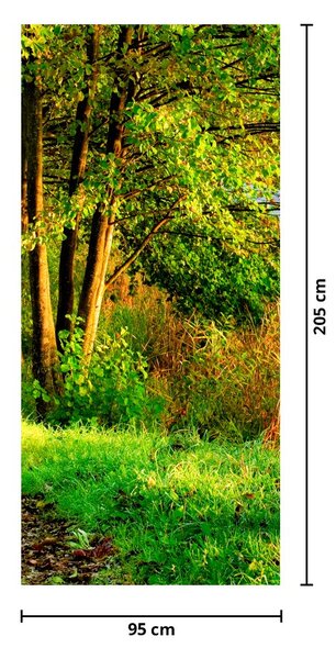 Fototapeta na dvere - Chodník pozdĺž vody (95x205cm)