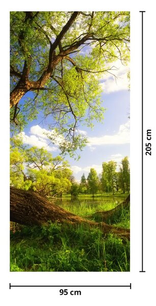 Fototapeta na dvere - Jarná lúka (95x205cm)