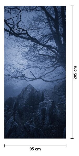 Fototapeta na dvere - Temný les (95x205cm)