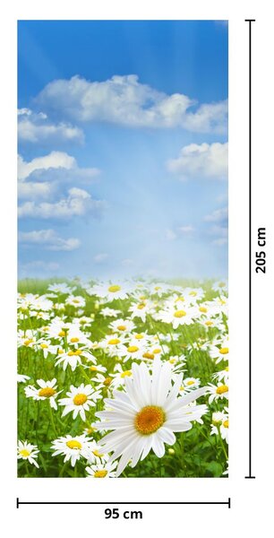 Fototapeta na dvere - Rozkvitnutá lúka s margarétami (95x205cm)