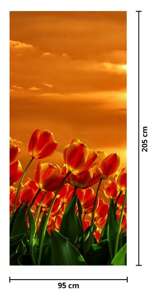 Fototapeta na dvere - Rozkvitnutý lán s tulipánmi (95x205cm)