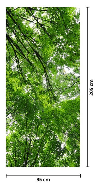Fototapeta na dvere - Pohľad do korún stromov (95x205cm)