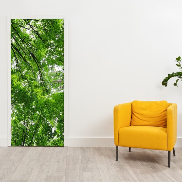 Fototapeta na dvere - Pohľad do korún stromov (95x205cm)