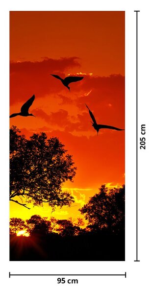 Fototapeta na dvere - Vtáky pri západe slnka (95x205cm)