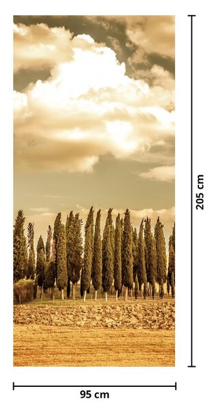 Fototapeta na dvere - Lúka (95x205cm)
