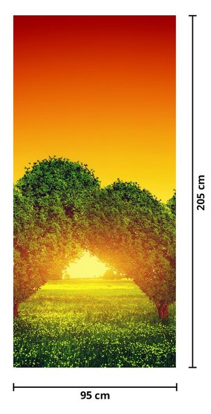 Fototapeta na dvere - Srdce v korunách stromov (95x205cm)