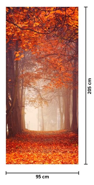 Fototapeta na dvere - Jesenný les (95x205cm)