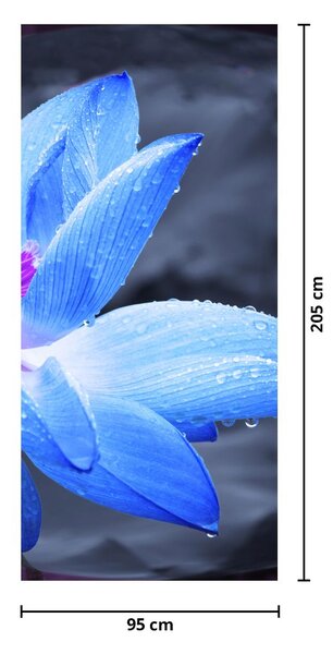 Fototapeta na dvere - Kvet v detaile (95x205cm)