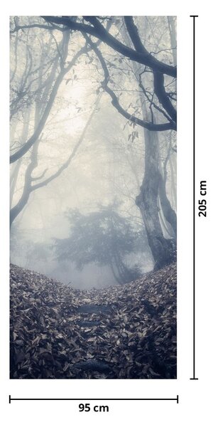 Fototapeta na dvere - Les v hmle (95x205cm)
