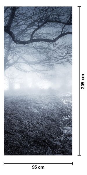Fototapeta na dvere - Cesta v hmle (95x205cm)
