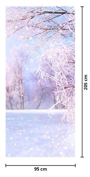 Fototapeta na dvere - Mrazivá zima (95x205cm)