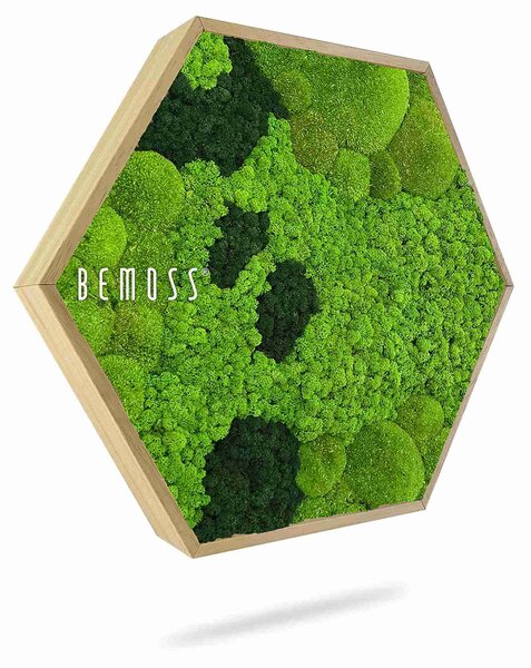 Machový Hexagon BEMOSS® ORTHO CORCON - Priemer 40 cm (v najširšom mieste šesťuholníka)