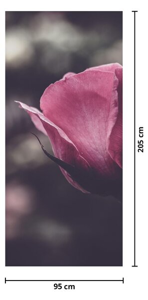 Fototapeta na dvere - Detail kvetu ruže (95x205cm)