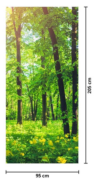 Fototapeta na dvere - Jarný listnatý les (95x205cm)