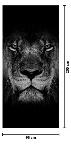 Fototapeta na dvere - Lev a jeho majestátnosť (95x205cm)