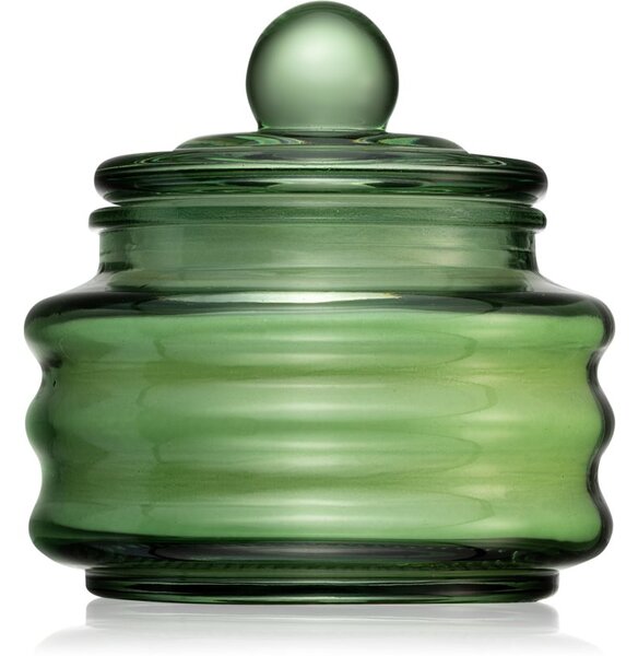 Paddywax Beam Cactus Flower vonná sviečka 85 g