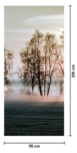 Fototapeta na dvere - Ranná sychravosť (95x205cm)