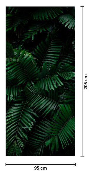 Fototapeta na dvere - Tropické papradie (95x205cm)