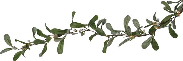 Vianočná LED girlanda Mistle 180 cm