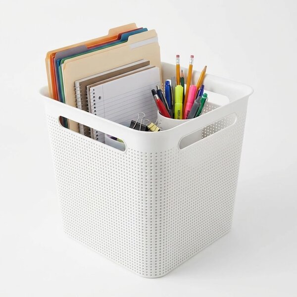 Rotho Úložný box s rúčkami BRISEN 18l, 29x29x29 cm, biely