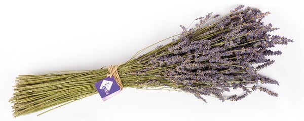Lavanderaie de Haute Provence Kytica sušeného lavandínu