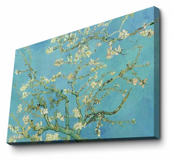 ASIR Obraz na plátne reprodukcia ALMOND BLOSSOM V. V. GOGH 100 cm